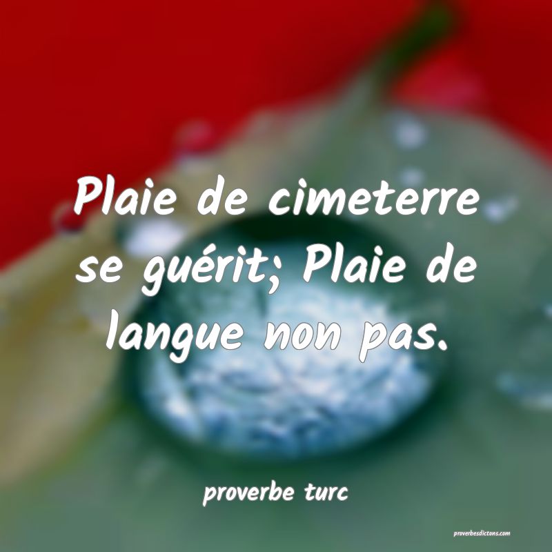  Plaie de cimeterre se guérit; Plaie de langue non pas.