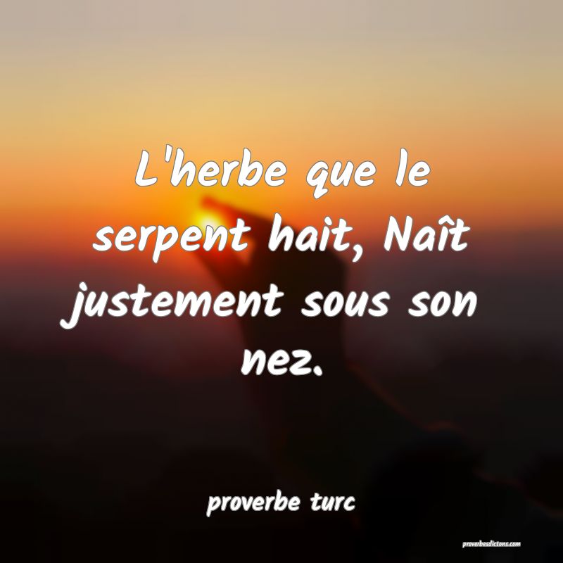  L'herbe que le serpent hait, Naît justement sous son nez.