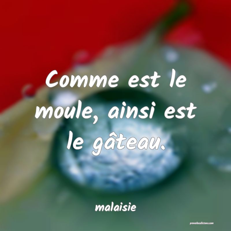  Comme est le moule, ainsi est le gâteau.