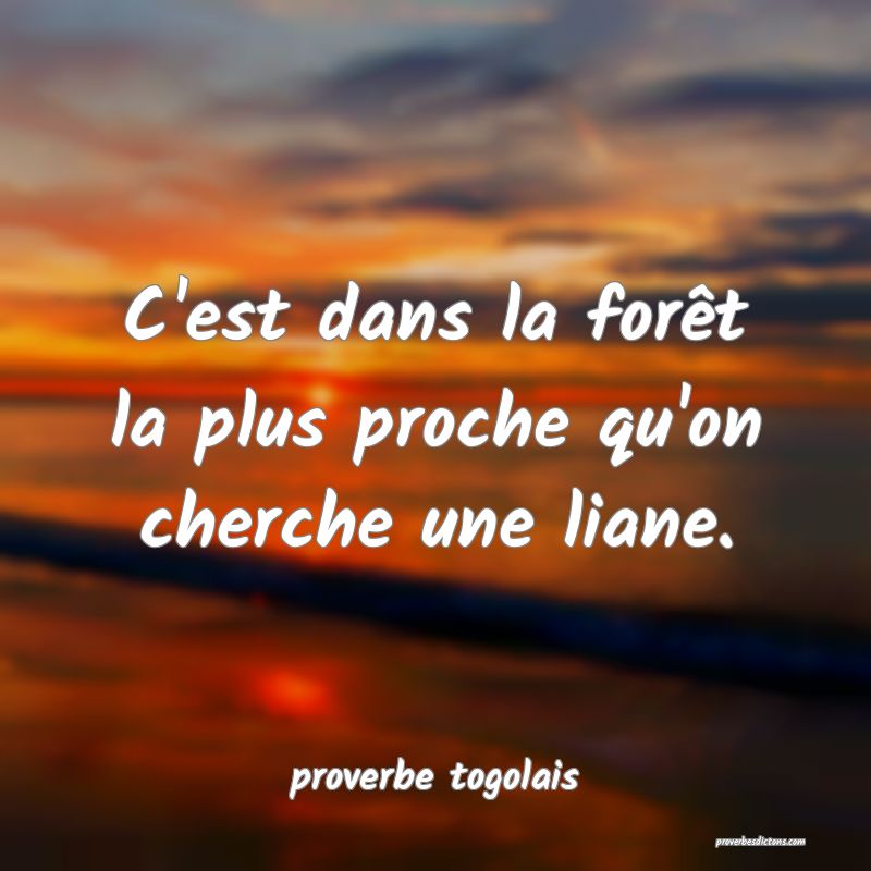  C'est dans la forêt la plus proche qu'on cherche une liane.