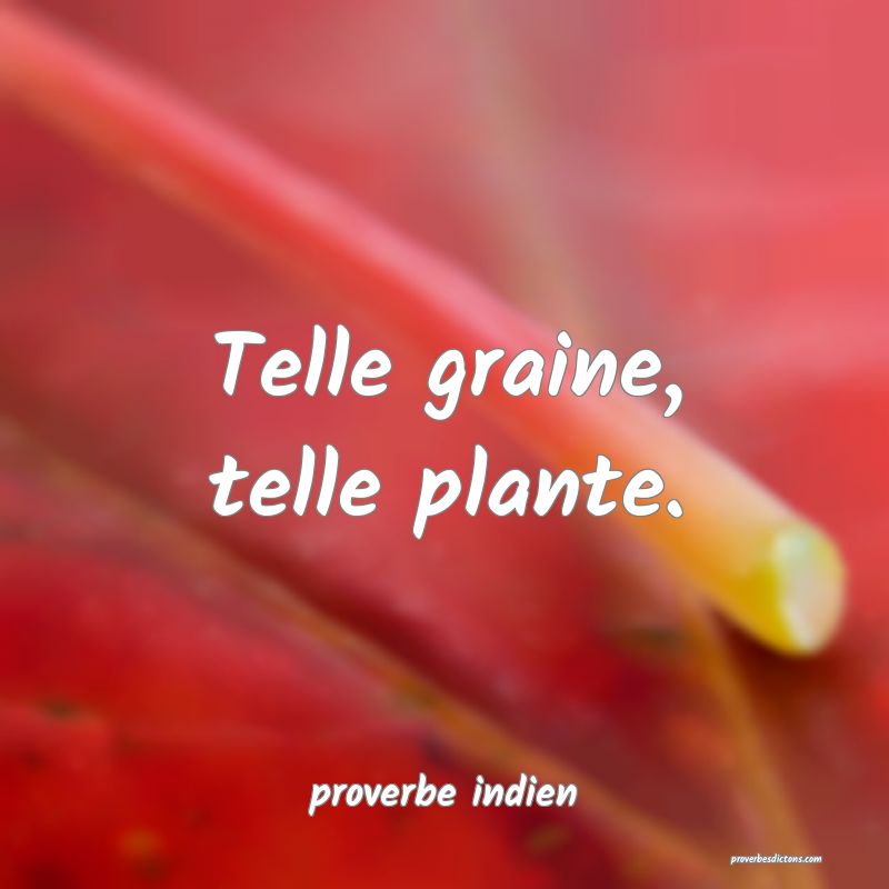  Telle graine, telle plante.