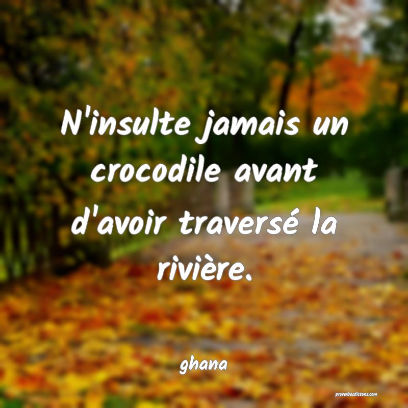 N'insulte jamais un crocodile avant d'avoir traversé la rivière.