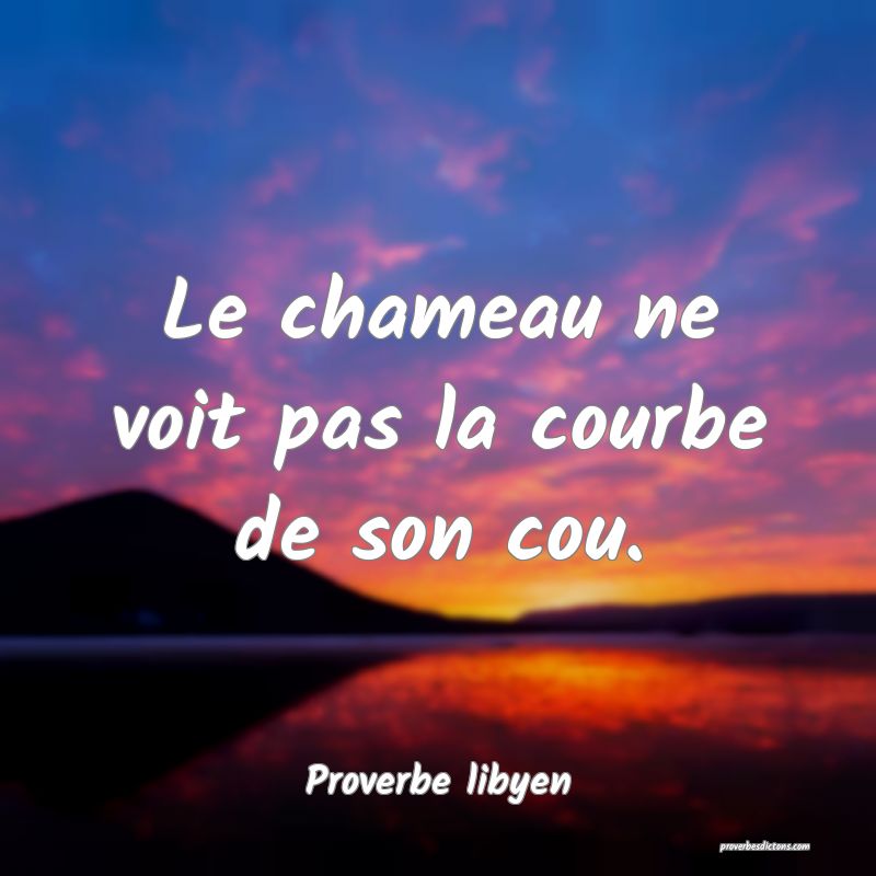  Le chameau ne voit pas la courbe de son cou.