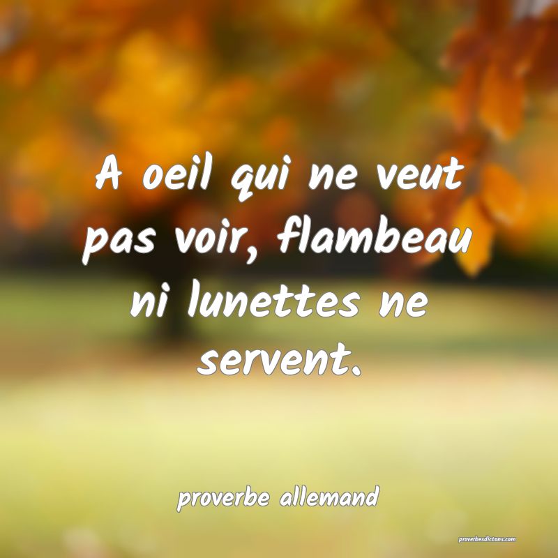  A oeil qui ne veut pas voir, flambeau ni lunettes ne servent.