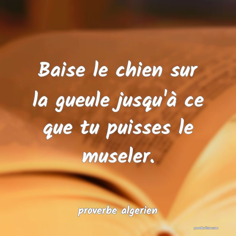  Baise le chien sur la gueule jusqu'à ce que tu puisses le museler.