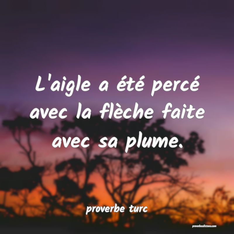  L'aigle a été percé avec la flèche faite avec sa plume.