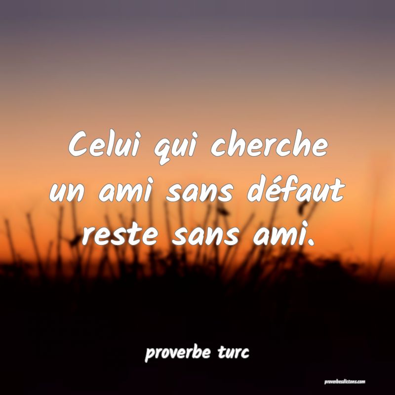  Celui qui cherche un ami sans défaut reste sans ami.