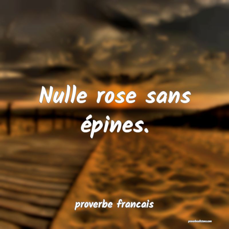  Nulle rose sans épines.