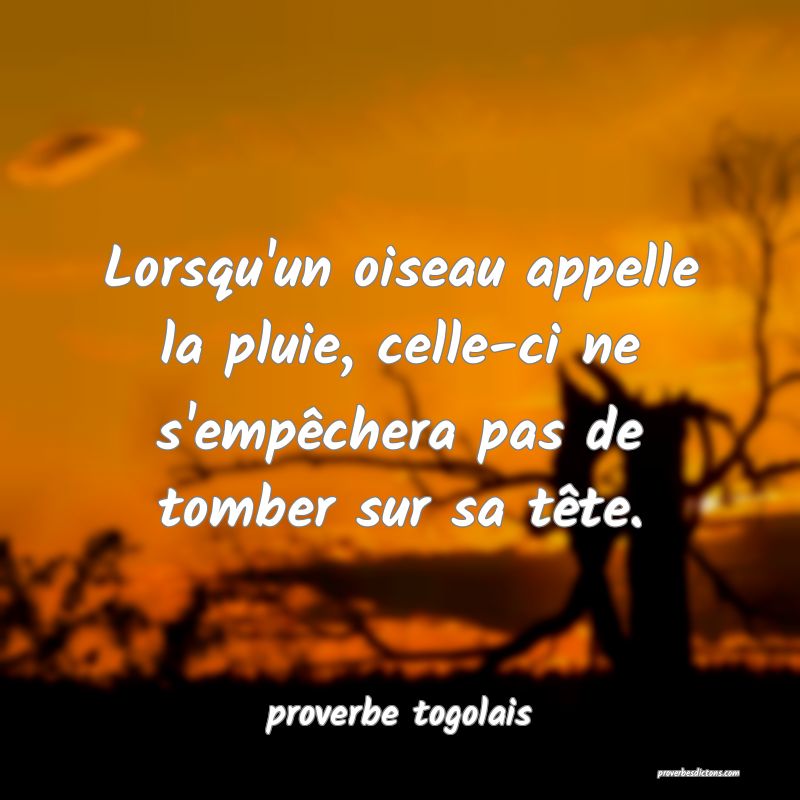  Lorsqu'un oiseau appelle la pluie, celle-ci ne s'empêchera pas de tomber sur sa tête.