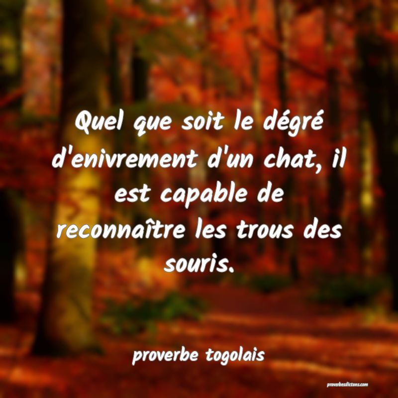  Quel que soit le dégré d'enivrement d'un chat, il est capable de reconnaître les trous des souris.