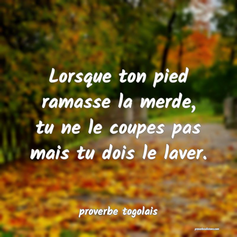  Lorsque ton pied ramasse la merde, tu ne le coupes pas mais tu dois le laver.