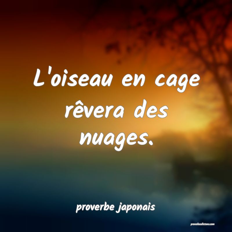  L'oiseau en cage rêvera des nuages.