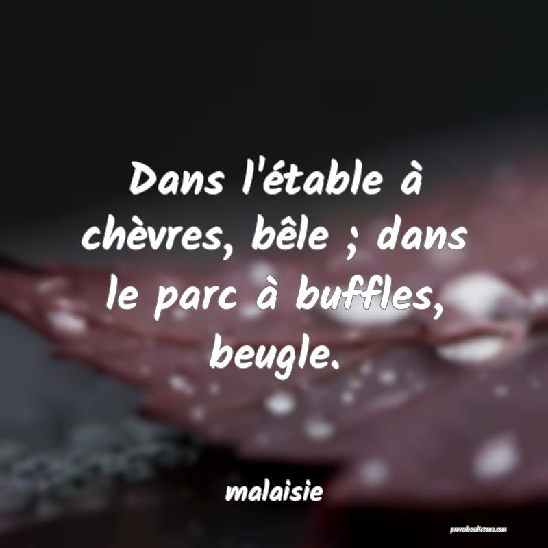  Dans l'étable à chèvres, bêle ; dans le parc à buffles, beugle.