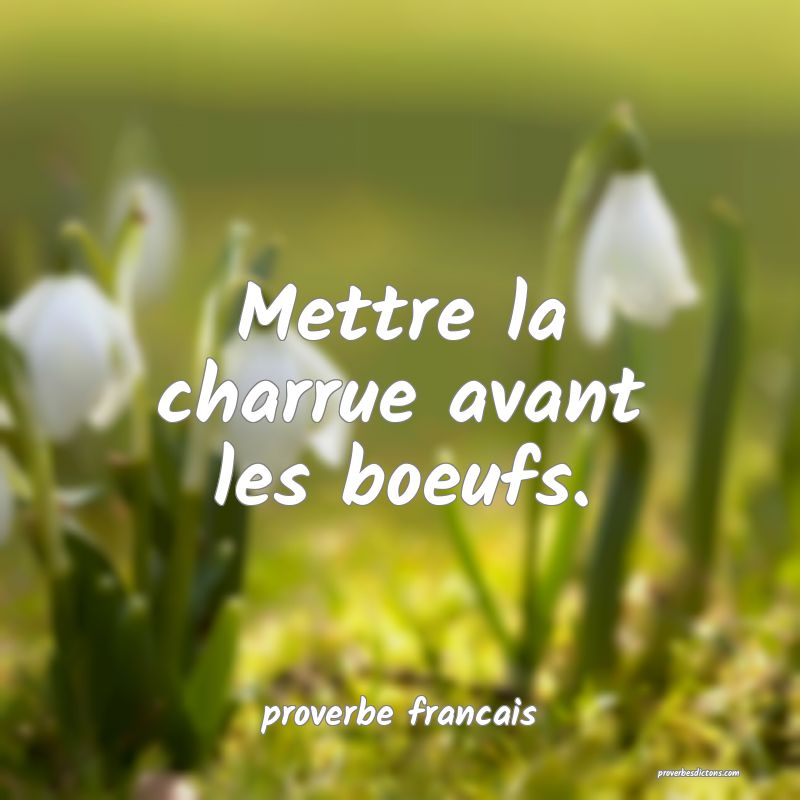  Mettre la charrue avant les boeufs.