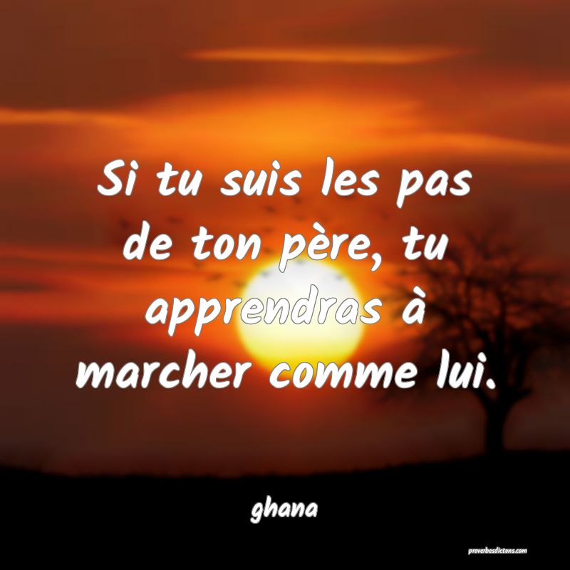  Si tu suis les pas de ton père, tu apprendras à marcher comme lui.