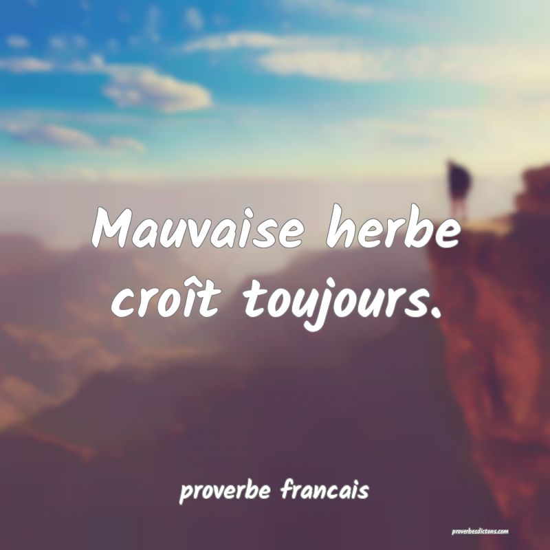  Mauvaise herbe croît toujours.