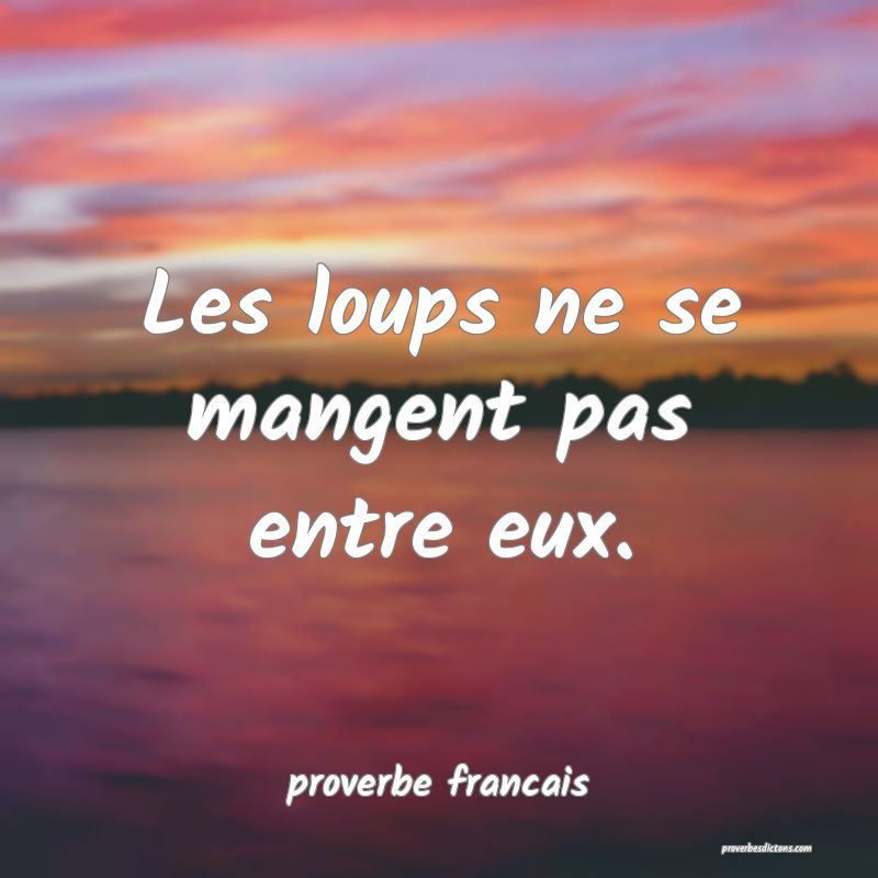  Les loups ne se mangent pas entre eux.