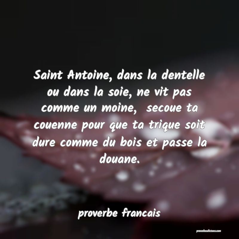  Saint Antoine, dans la dentelle ou dans la soie, ne vit pas comme un moine,  secoue ta couenne pour que ta trique soit dure comme du bois et passe la douane.