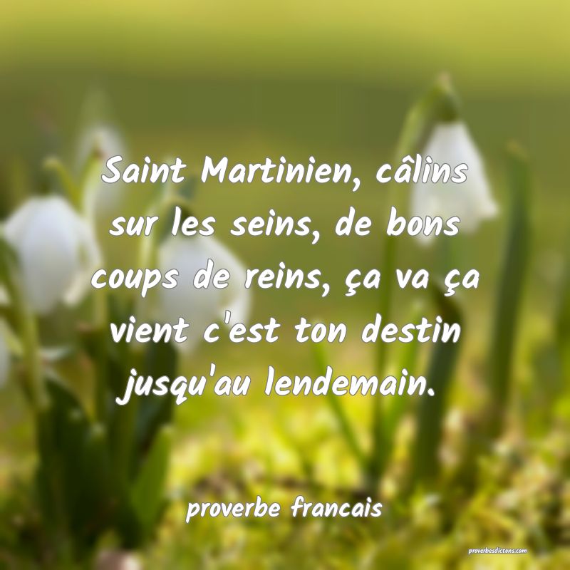  Saint Martinien, câlins sur les seins, de bons coups de reins, ça va ça vient c'est ton destin jusqu'au lendemain.