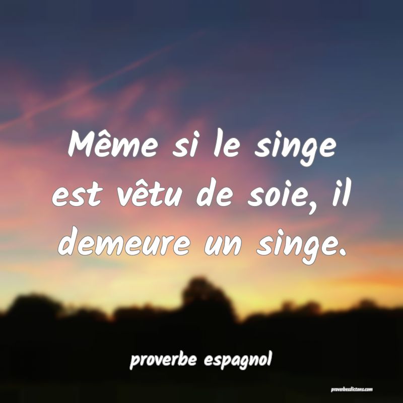  Même si le singe est vêtu de soie, il demeure un singe.