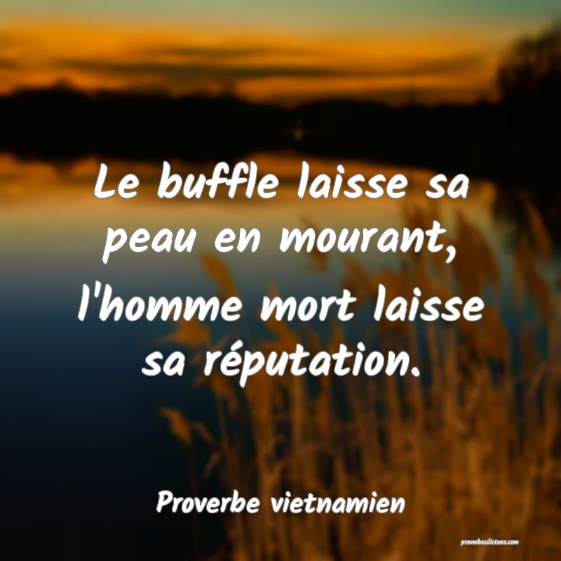  Le buffle laisse sa peau en mourant, l'homme mort laisse sa réputation.