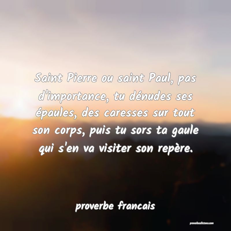  Saint Pierre ou saint Paul, pas d'importance, tu dénudes ses épaules, des caresses sur tout son corps, puis tu sors ta gaule qui s'en va visiter son repère.