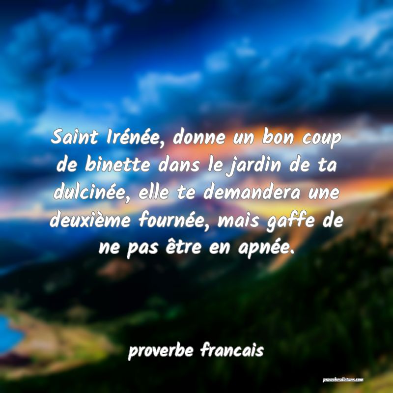  Saint Irénée, donne un bon coup de binette dans le jardin de ta dulcinée, elle te demandera une deuxième fournée, mais gaffe de ne pas être en apnée.