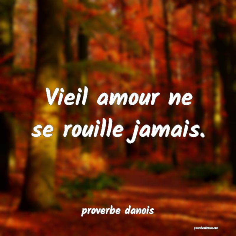  Vieil amour ne se rouille jamais.