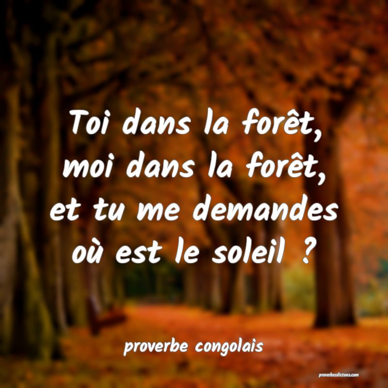  Toi dans la forêt, moi dans la forêt, et tu me demandes où est le soleil ?