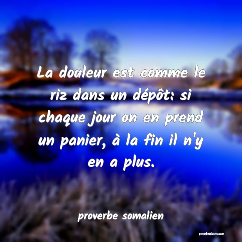 La douleur est comme le riz dans un dépôt: si chaque jour on en prend un panier, à la fin il n'y en a plus.