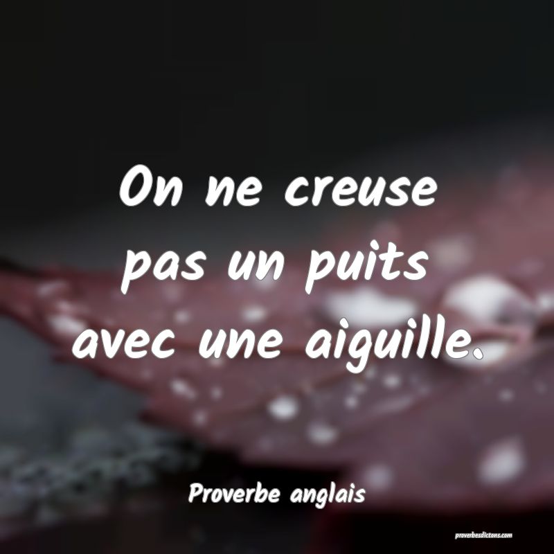  On ne creuse pas un puits avec une aiguille.