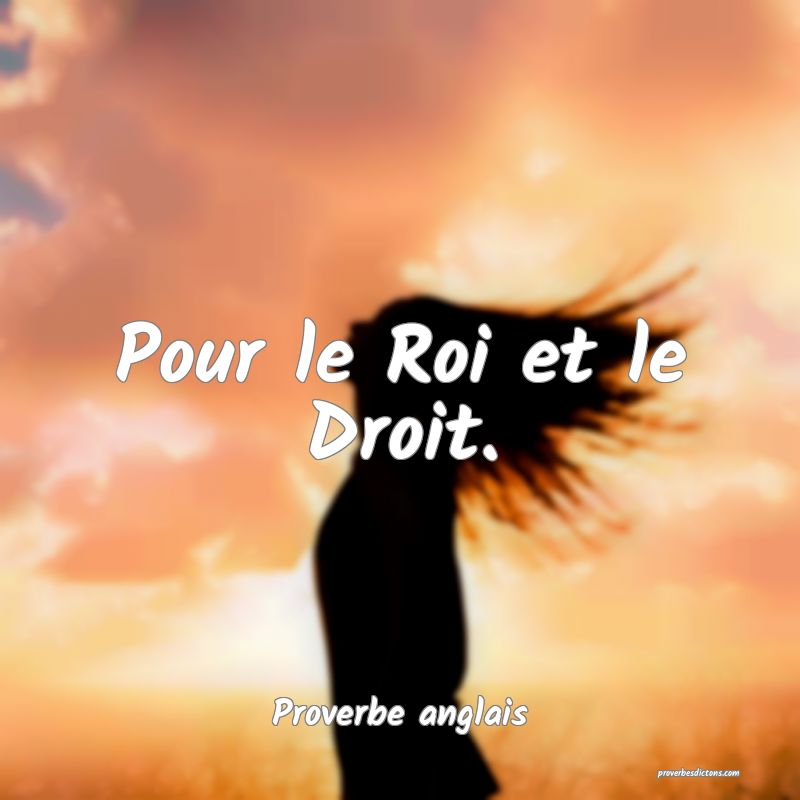  Pour le Roi et le Droit.