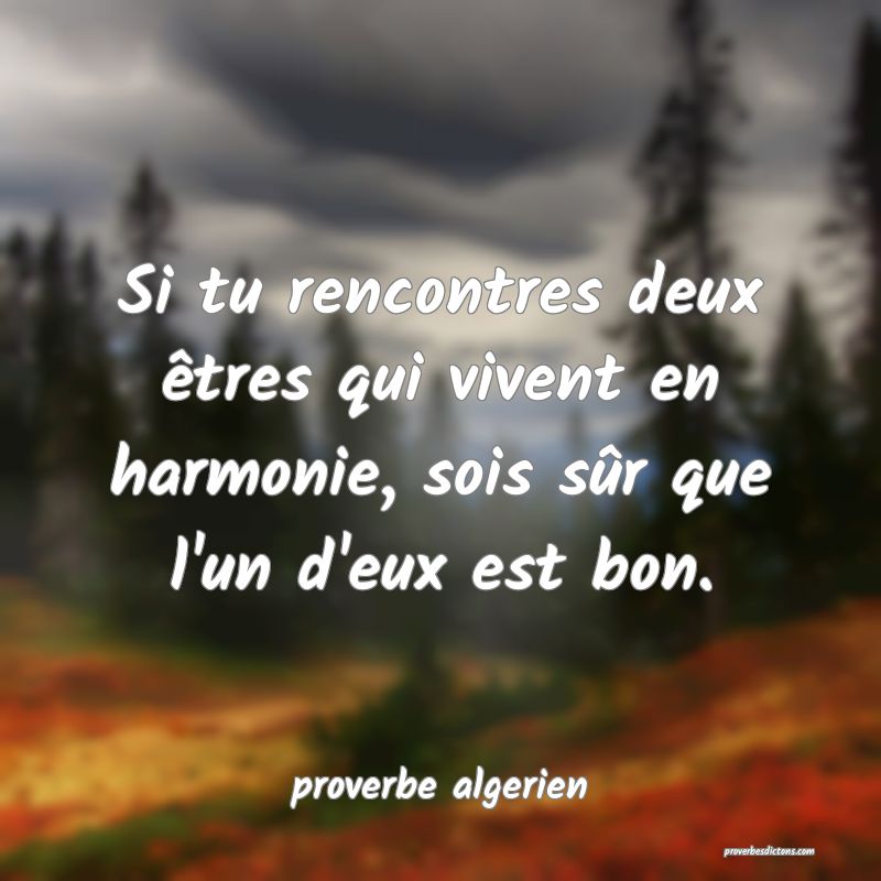  Si tu rencontres deux êtres qui vivent en harmonie, sois sûr que l'un d'eux est bon.