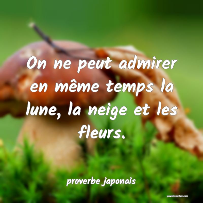  On ne peut admirer en même temps la lune, la neige et les fleurs.