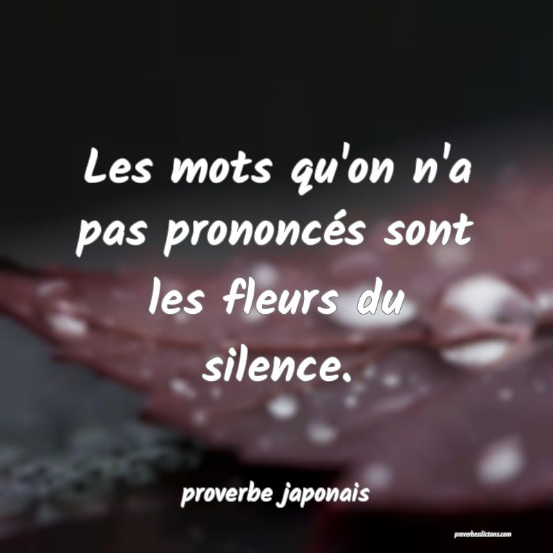  Les mots qu'on n'a pas prononcés sont les fleurs du silence.