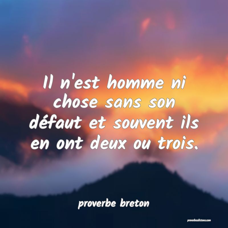  Il n'est homme ni chose sans son défaut et souvent ils en ont deux ou trois.