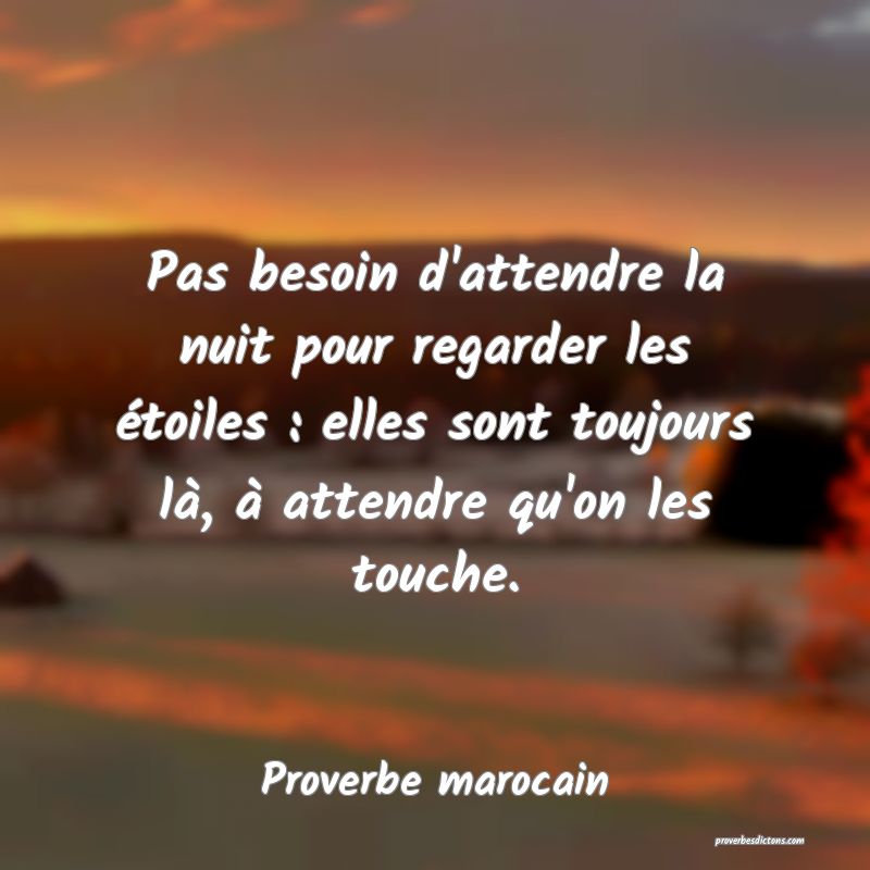  Pas besoin d'attendre la nuit pour regarder les étoiles : elles sont toujours là, à attendre qu'on les touche.