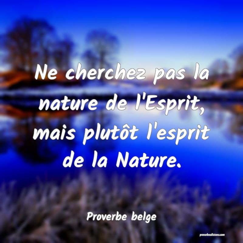  Ne cherchez pas la nature de l'Esprit, mais plutôt l'esprit de la Nature.