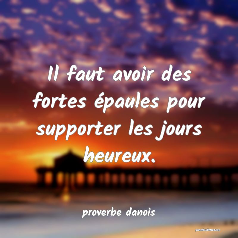  Il faut avoir des fortes épaules pour supporter les jours heureux.