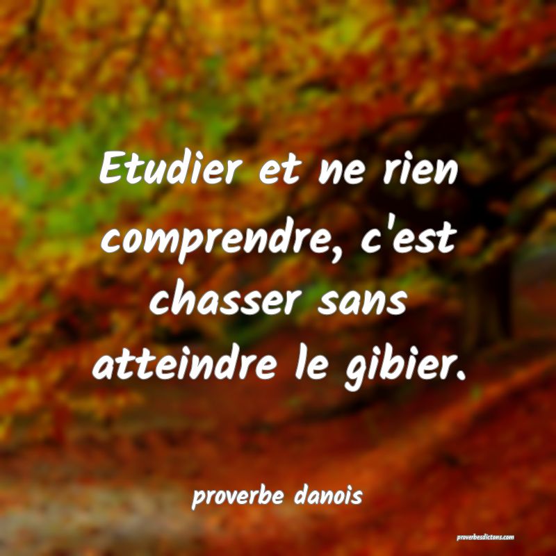  Etudier et ne rien comprendre, c'est chasser sans atteindre le gibier.