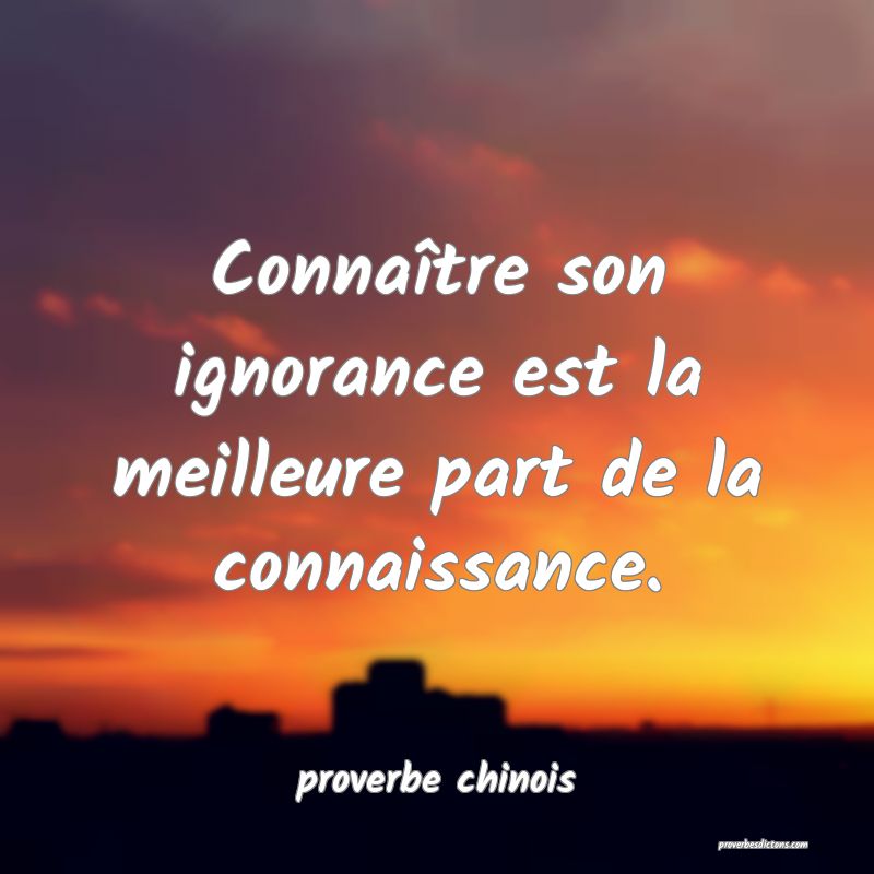  Connaître son ignorance est la meilleure part de la connaissance.