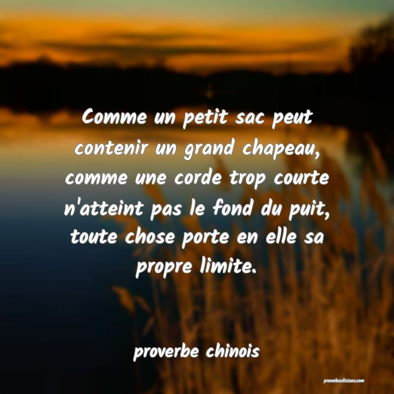  Comme un petit sac peut contenir un grand chapeau, comme une corde trop courte n'atteint pas le fond du puit, toute chose porte en elle sa propre limite.