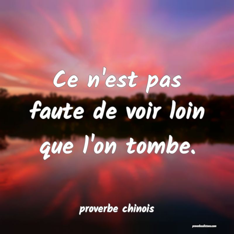  Ce n'est pas faute de voir loin que l'on tombe.