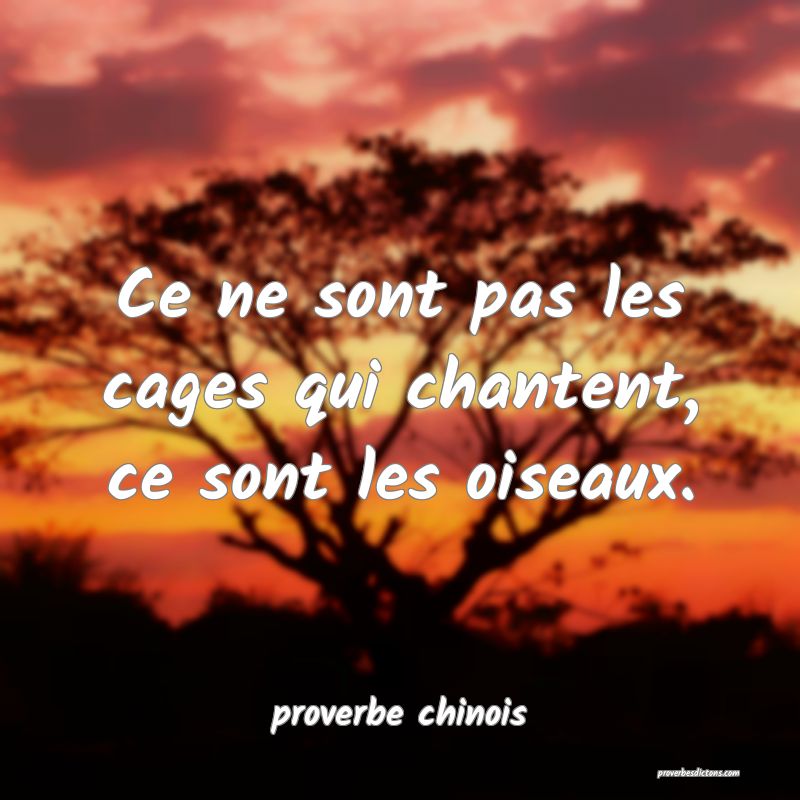  Ce ne sont pas les cages qui chantent, ce sont les oiseaux.