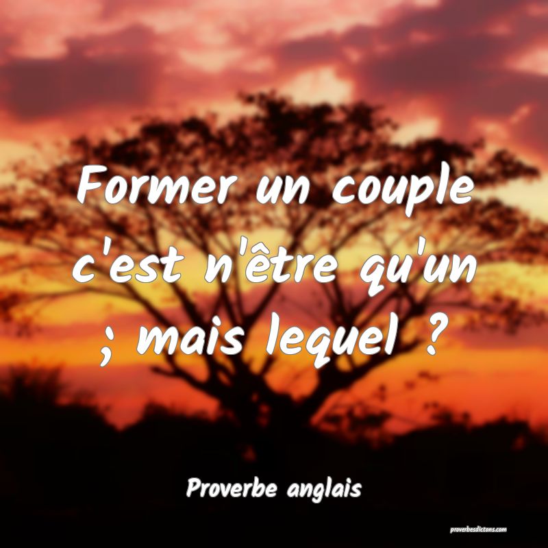  Former un couple c'est n'être qu'un ; mais lequel ?