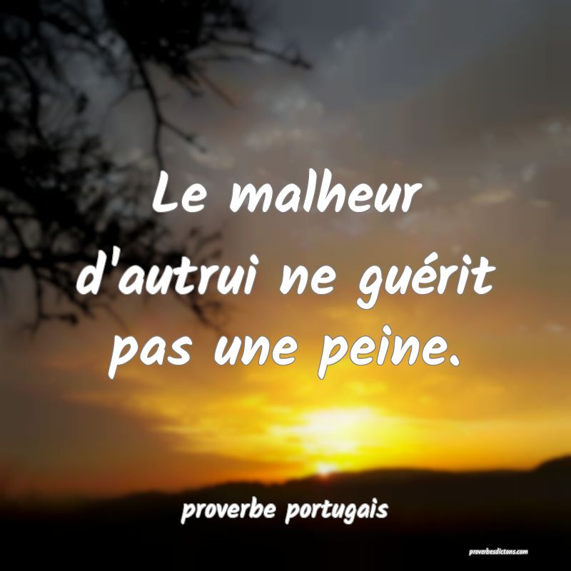  Le malheur d'autrui ne guérit pas une peine.