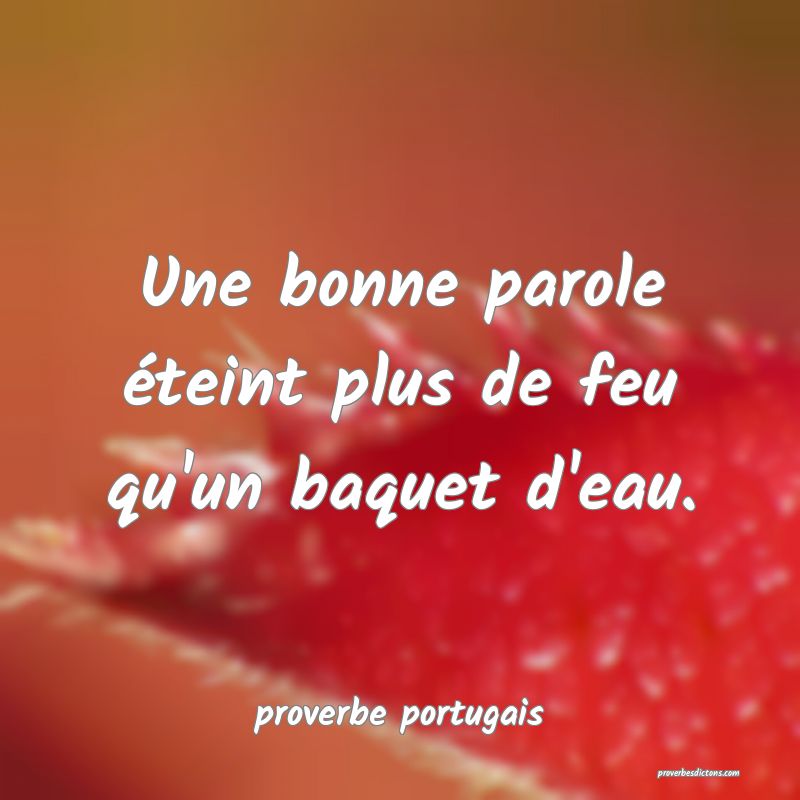  Une bonne parole éteint plus de feu qu'un baquet d'eau.