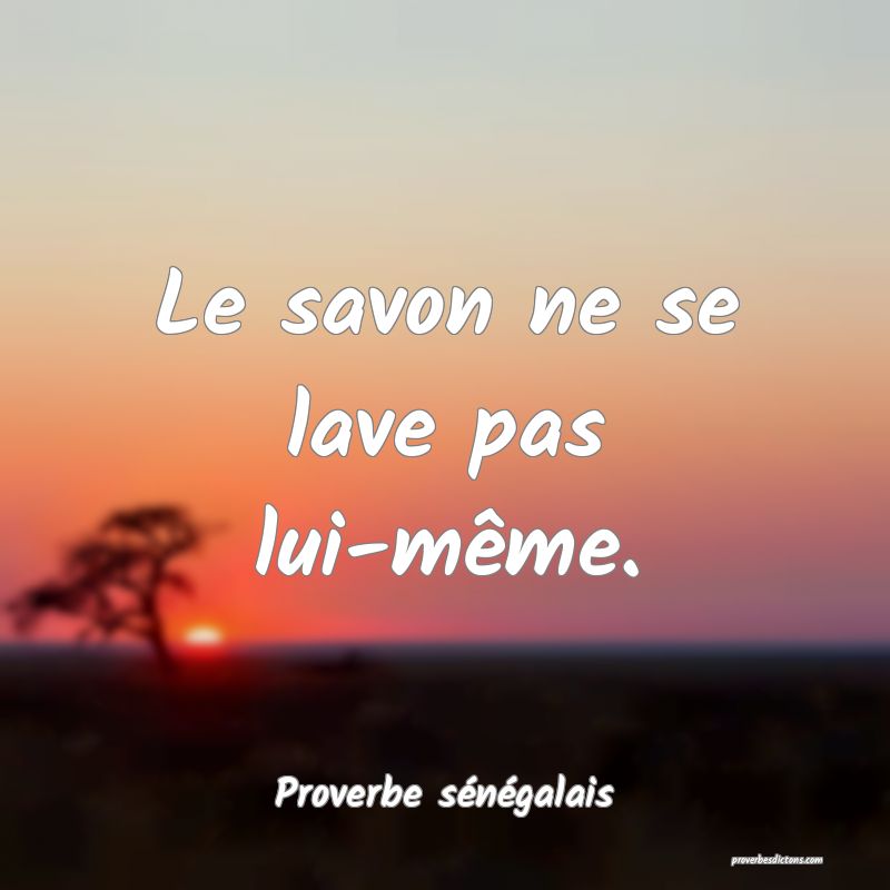  Le savon ne se lave pas lui-même.