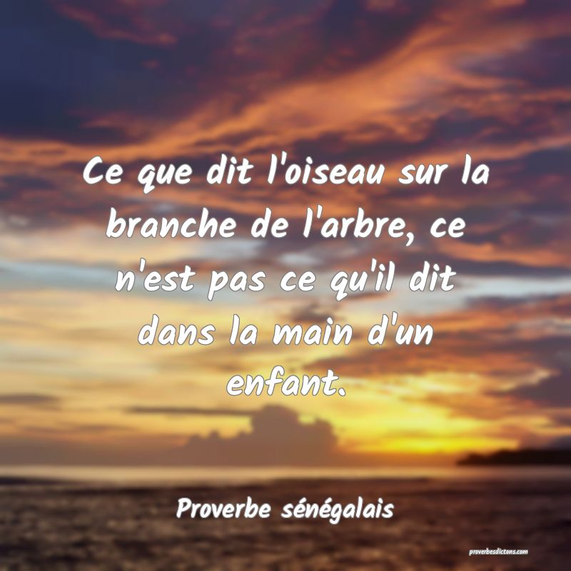  Ce que dit l'oiseau sur la branche de l'arbre, ce n'est pas ce qu'il dit dans la main d'un enfant. 