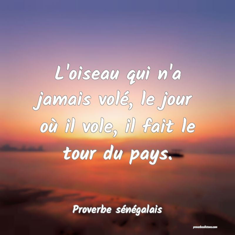  L'oiseau qui n'a jamais volé, le jour où il vole, il fait le tour du pays. 